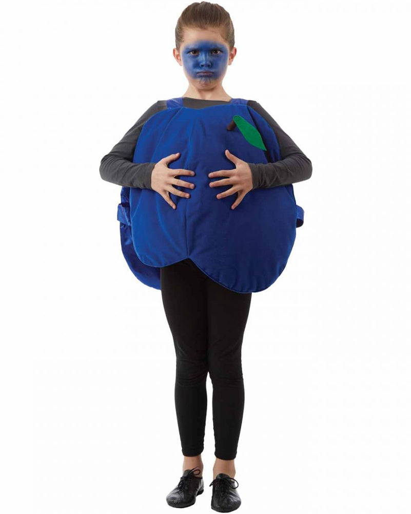 Blueberry Girls Book Week Costume