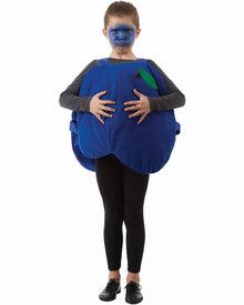 Blueberry Girls Costume