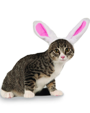 Bunny Ears Pet Headband