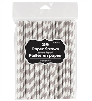 Paper Straws Silver Pack of 24