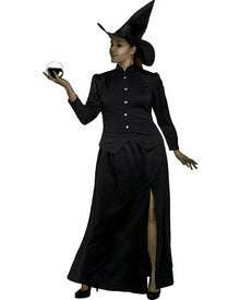 Classic Wicked Witch Plus Size Womens Halloween Costume
