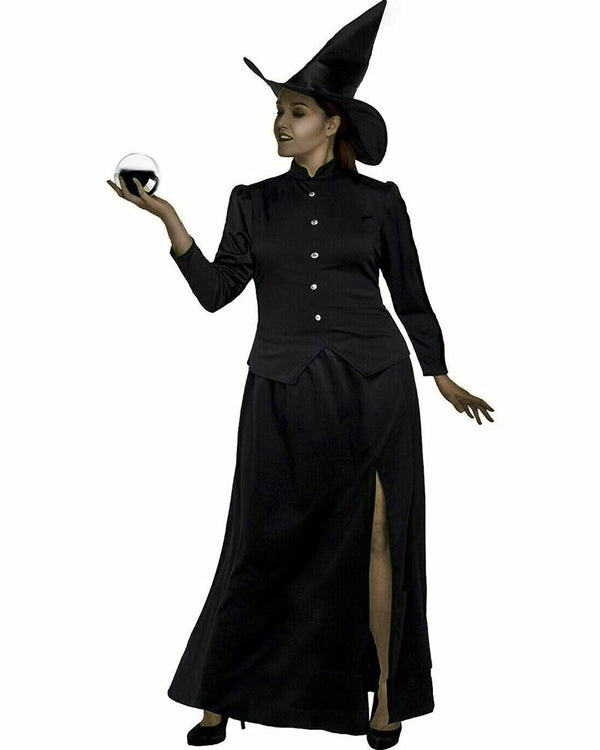 Classic Wicked Witch Plus Size Womens Costume