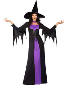 Classic Witch Womens Plus Size Halloween Costume