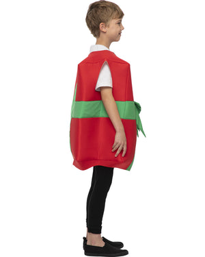 Christmas Present Kids Christmas Costume