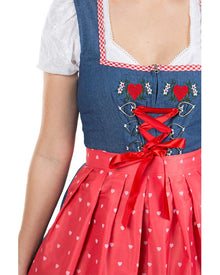 Hanna Deluxe Oktoberfest Dirndl Womens Plus Size Costume