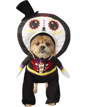 Day of the Dead Pet Costume