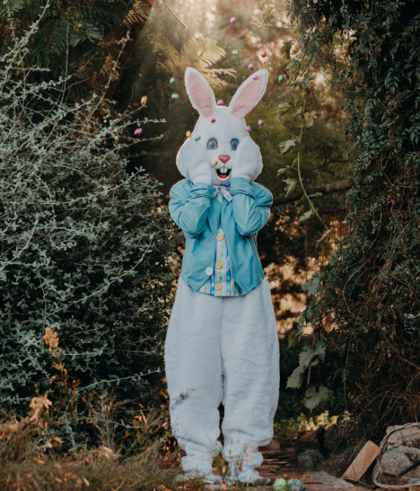 Deluxe Easter Bunny Adult Plus Size Costume