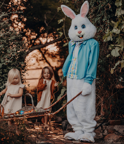 Deluxe Easter Bunny Adult Plus Size Costume