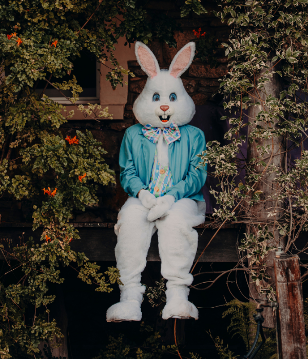 Deluxe Easter Bunny Adult Costume - Main Image