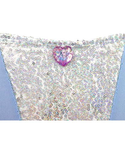 Disney Frozen 2 Anna and Elsa Romantic Tutu Girls Costume