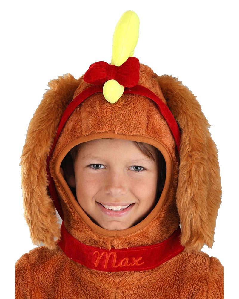 Dr Seuss The Grinch Max Kids Christmas Costume
