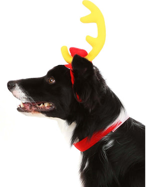 Christmas Dr Seuss The Grinch Max Pets Headband and Collar