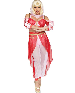 Dreamy Genie Womens Costume