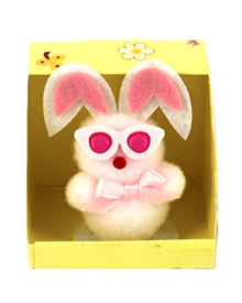 Easter Bunny with Glasses in Box