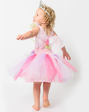 Enchanted Fairy Pastel Dress Girls Costume