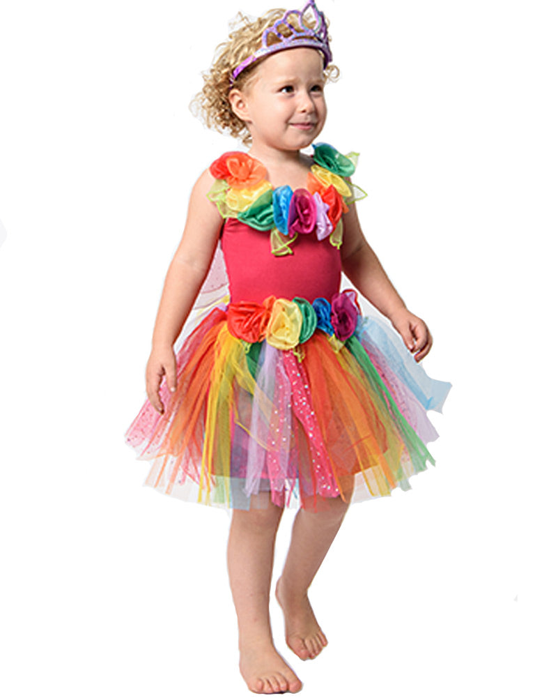 Enchanted Fairy Rainbow Dress Girls Costume