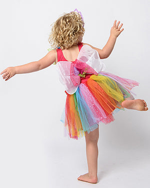Enchanted Fairy Rainbow Dress Girls Costume