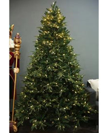 Fraser Fir Tree With 1788 Tips and 500 Warm White Christmas LED Lights 2.1m