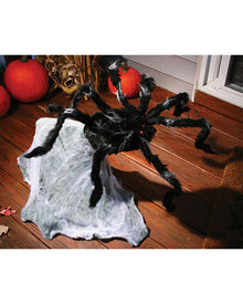 Giant Jumping Spider 91cm For Halloween