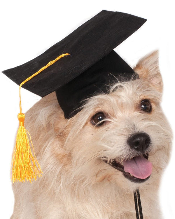 Graduation Hat Pet Costume