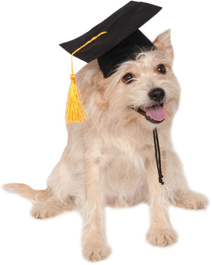 Graduation Hat Pet Costume