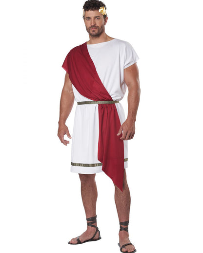 Grecian Party Toga Adult Costume