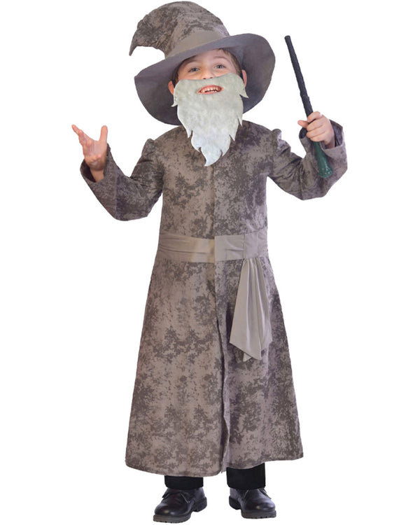 Grey Wise Wizard Kids Costume