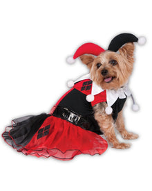 Harley Quinn Classic Pet Halloween Costume