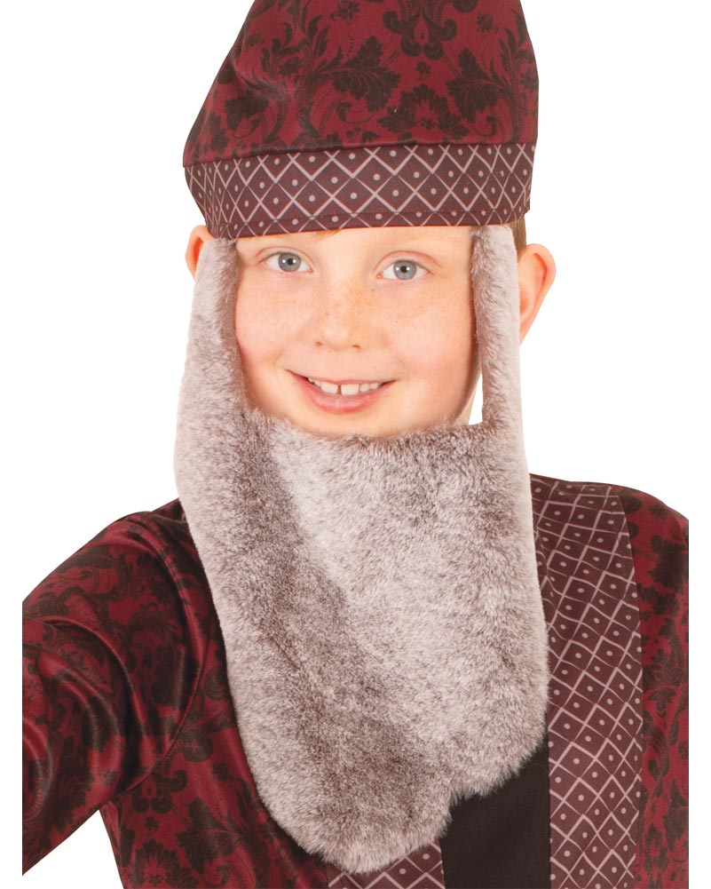 Harry Potter Dumbledore Boys Costume