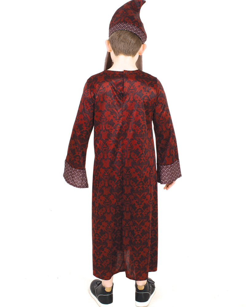 Harry Potter Dumbledore Boys Costume