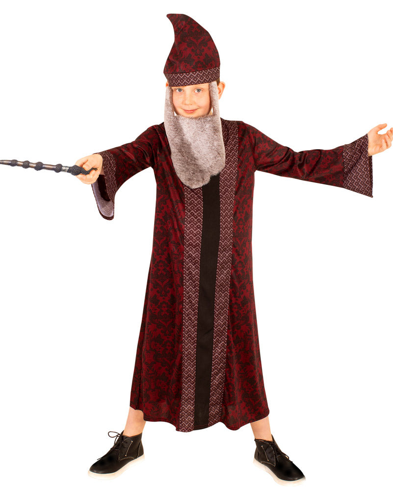 Harry Potter Dumbledore Boys Costume