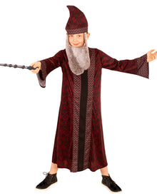 Harry Potter Dumbledore Boys Costume