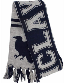 Harry Potter Ravenclaw Reversible Knit Scarf