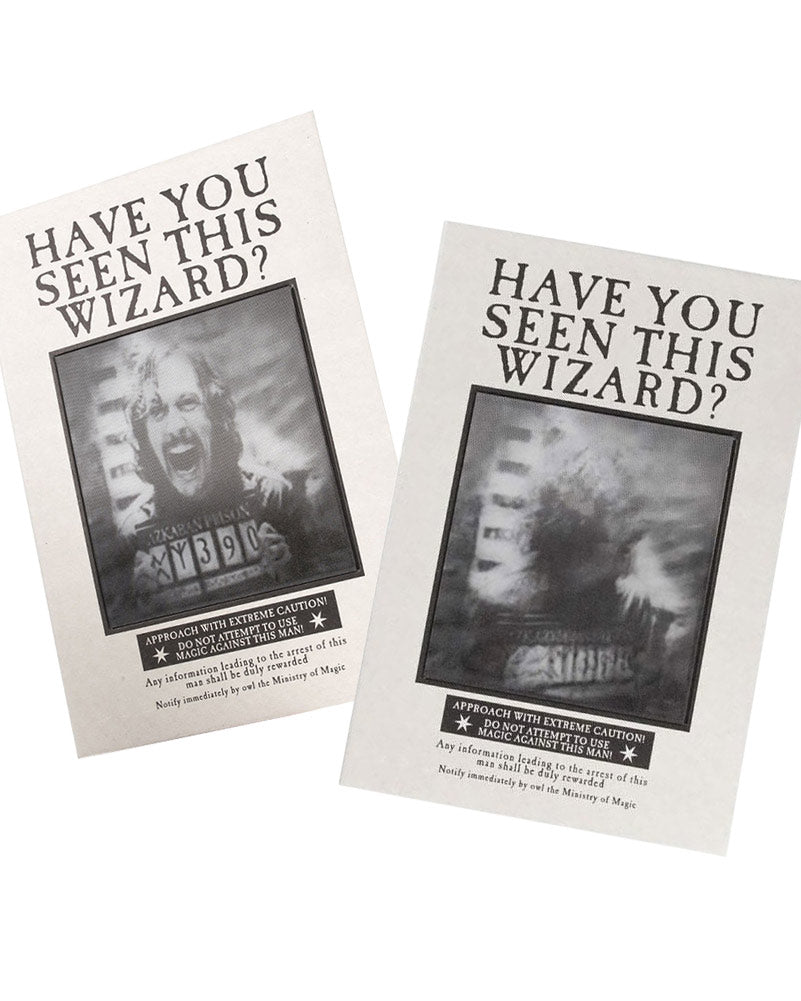 Harry Potter The Daily Prophet Lenticular Notebook