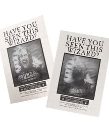 Harry Potter The Daily Prophet Lenticular Notebook