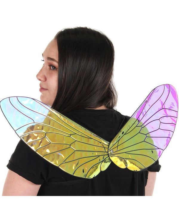 Holographic Bee Wings