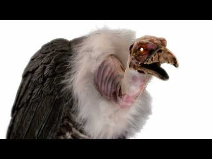 Talking Back Vulture Animatronic