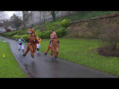 Horse Giant Inflatable Adult Costume