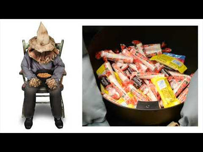Sitting Scarecrow (US PLUG)