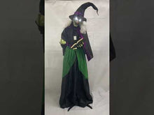 Halloween Animated Witch with Book 183cm