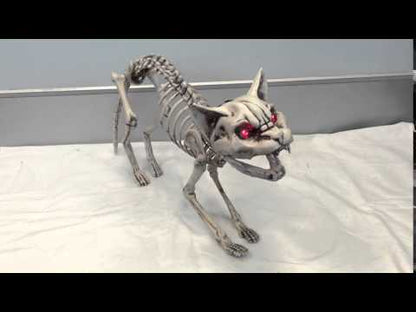 Screaming Skeleton Cat With Light Up Eyes