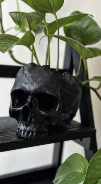 Black Large Skull Pot Plant Holder