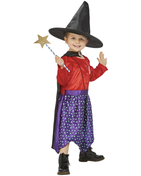 Julia Donaldson Room On The Broom Deluxe Kids Costume