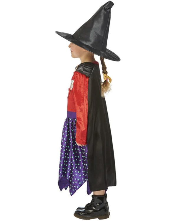 Julia Donaldson Room On The Broom Deluxe Kids Costume
