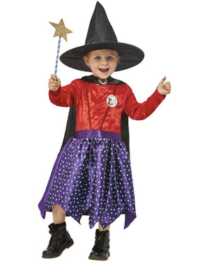 Julia Donaldson Room On The Broom Deluxe Kids Costume