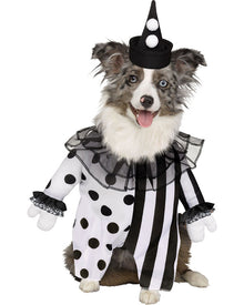 Killer Clown Pet Halloween Costume