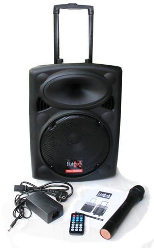 25cm Portable PA Sound System Speaker with Wireless Microphone