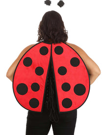 Ladybug Wings and Antenna