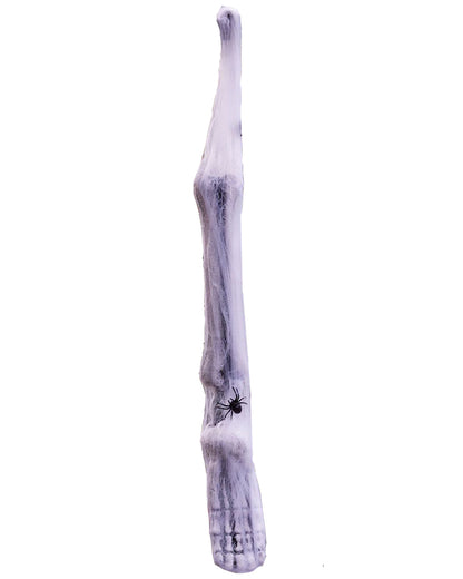 Leg and Foot Spider Cocoon Limb