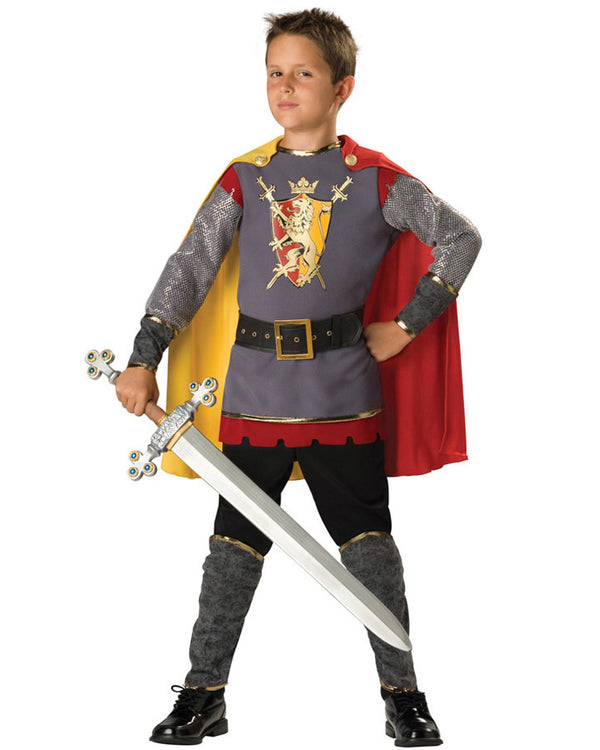 Image of boy wearing knight costume holding sword.